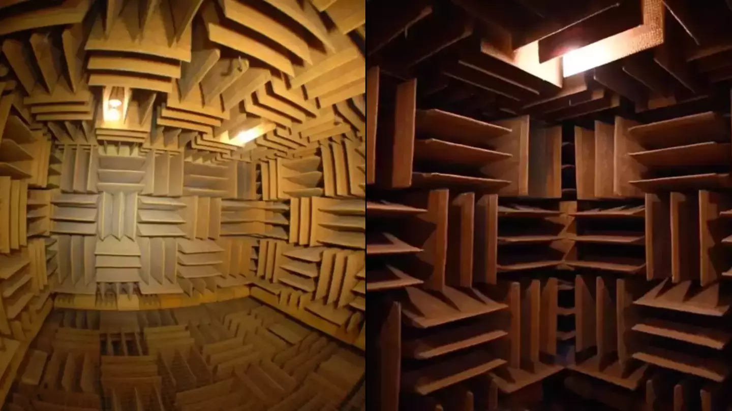 Quietest place on Earth is so quiet you can hear your own organs