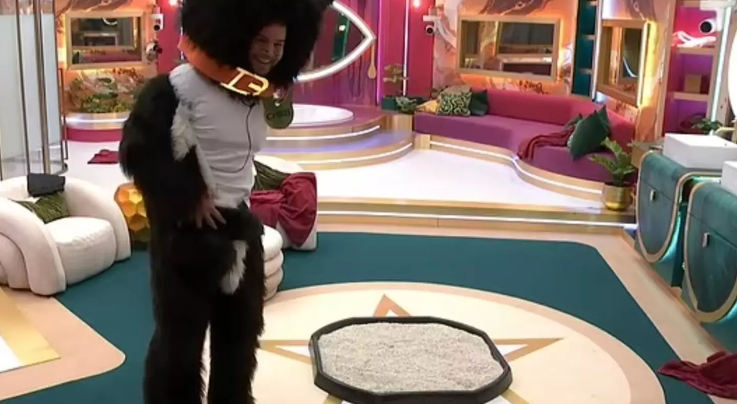 But some viewers think Hughes and Siwa took things too far with their litter box stunt (ITV)