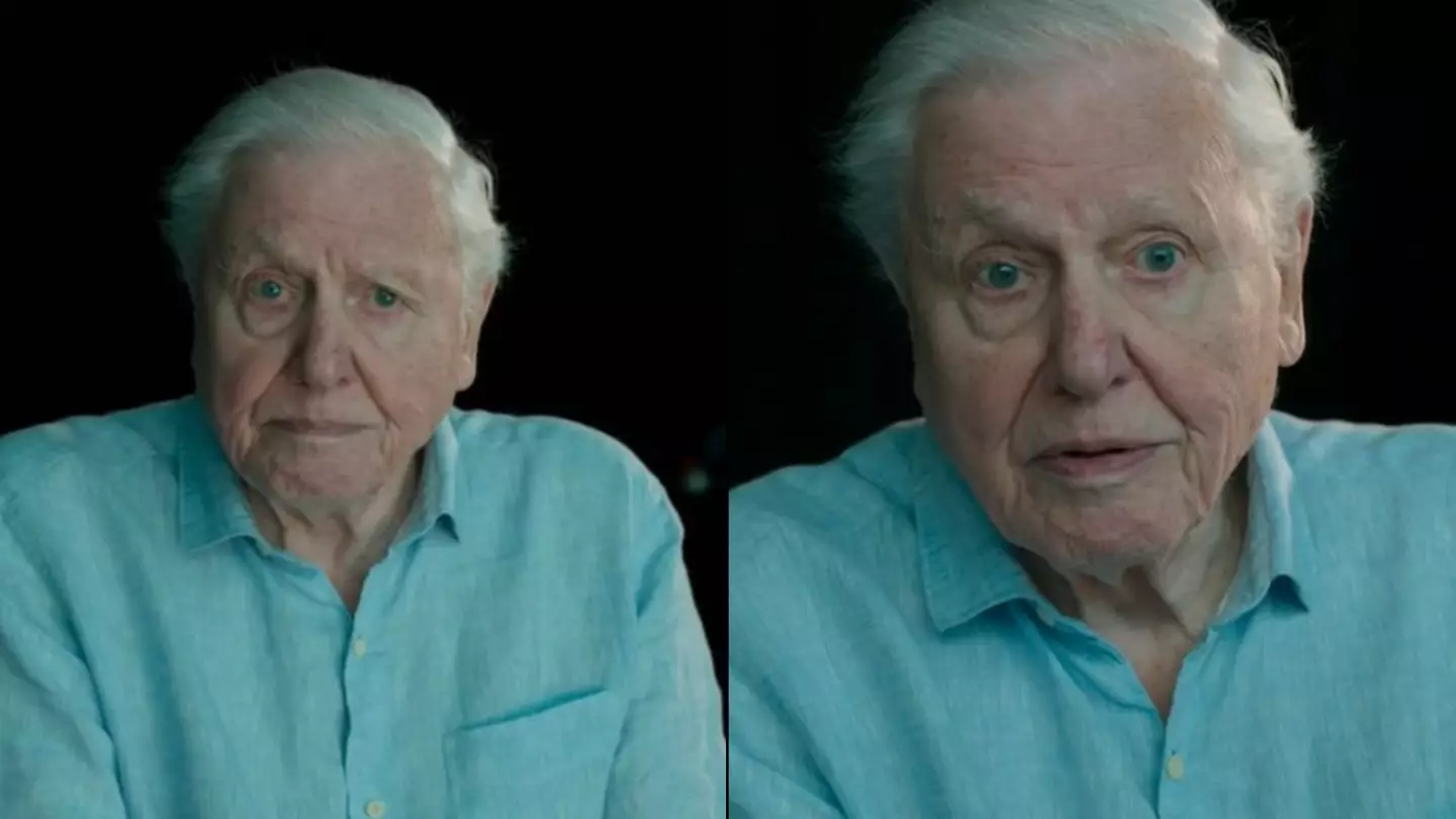 David Attenborough brings viewers to tears as he makes 'urgent final plea'