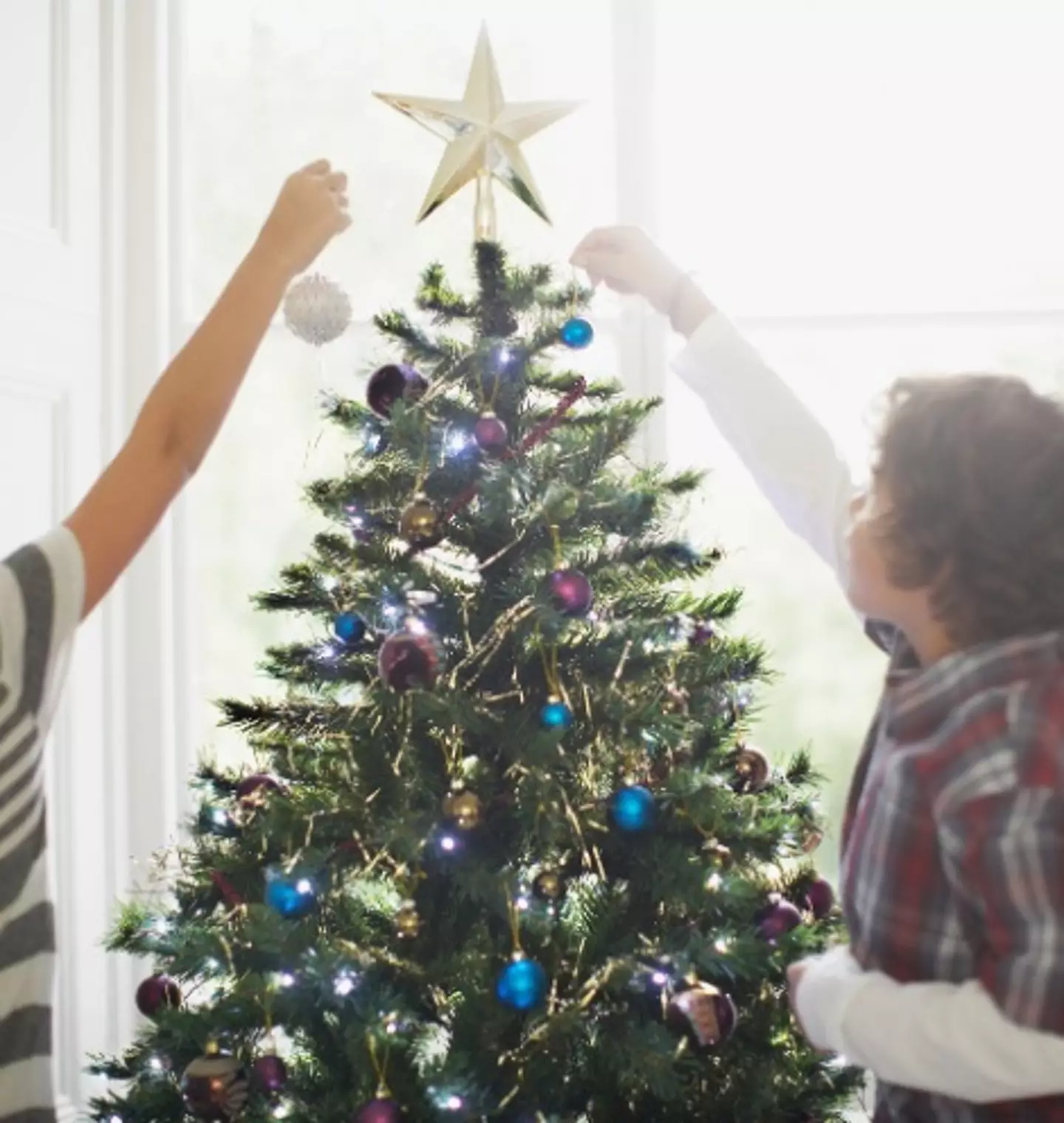 Have you put your tree up yet? (