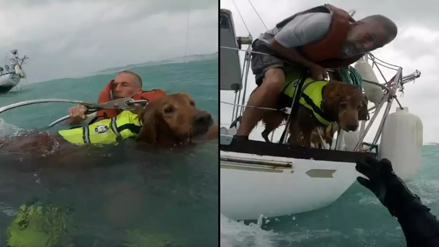 Sailor living on boat stranded in hurricane shares chilling message he told Golden Retriever as they sank