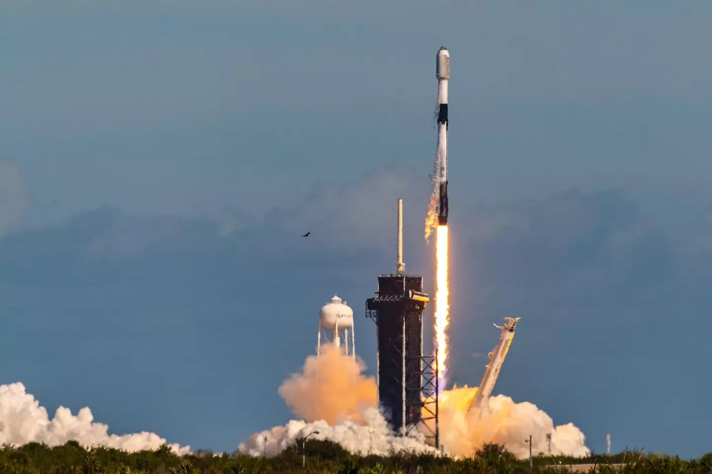 A Falcon 9 rocket carrying 49 Starlink satellites took off last Thursday.