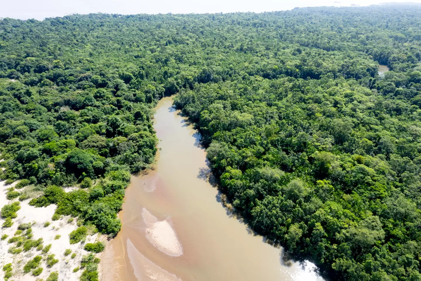 Two people have died and another two are missing after coming into contact with the world's biggest isolated tribe (Getty Stock Images)