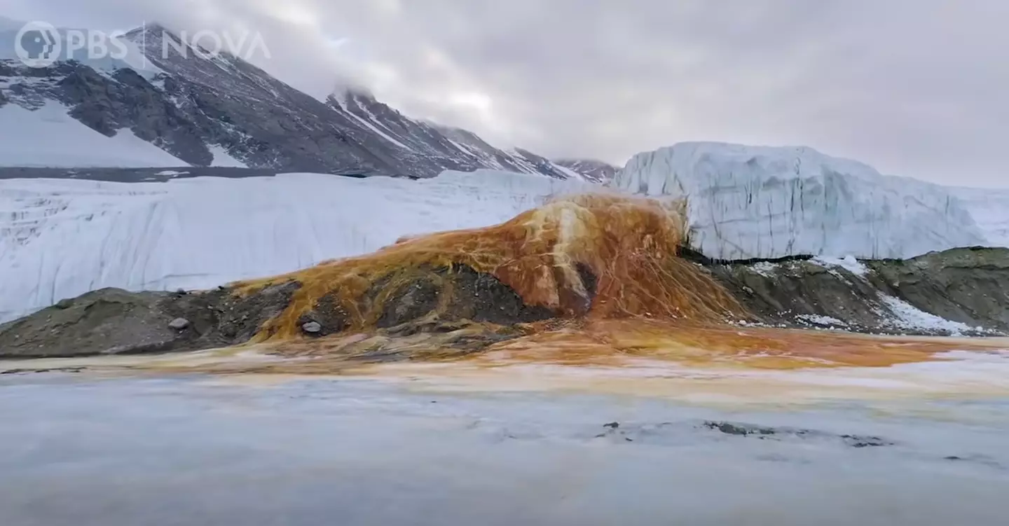 The unusual spot has been dubbed ‘Blood Falls’.