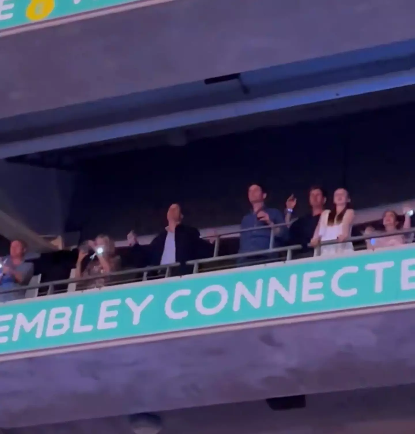 Prince William looked like he was having a great time. (TikTok/@kkinldn)