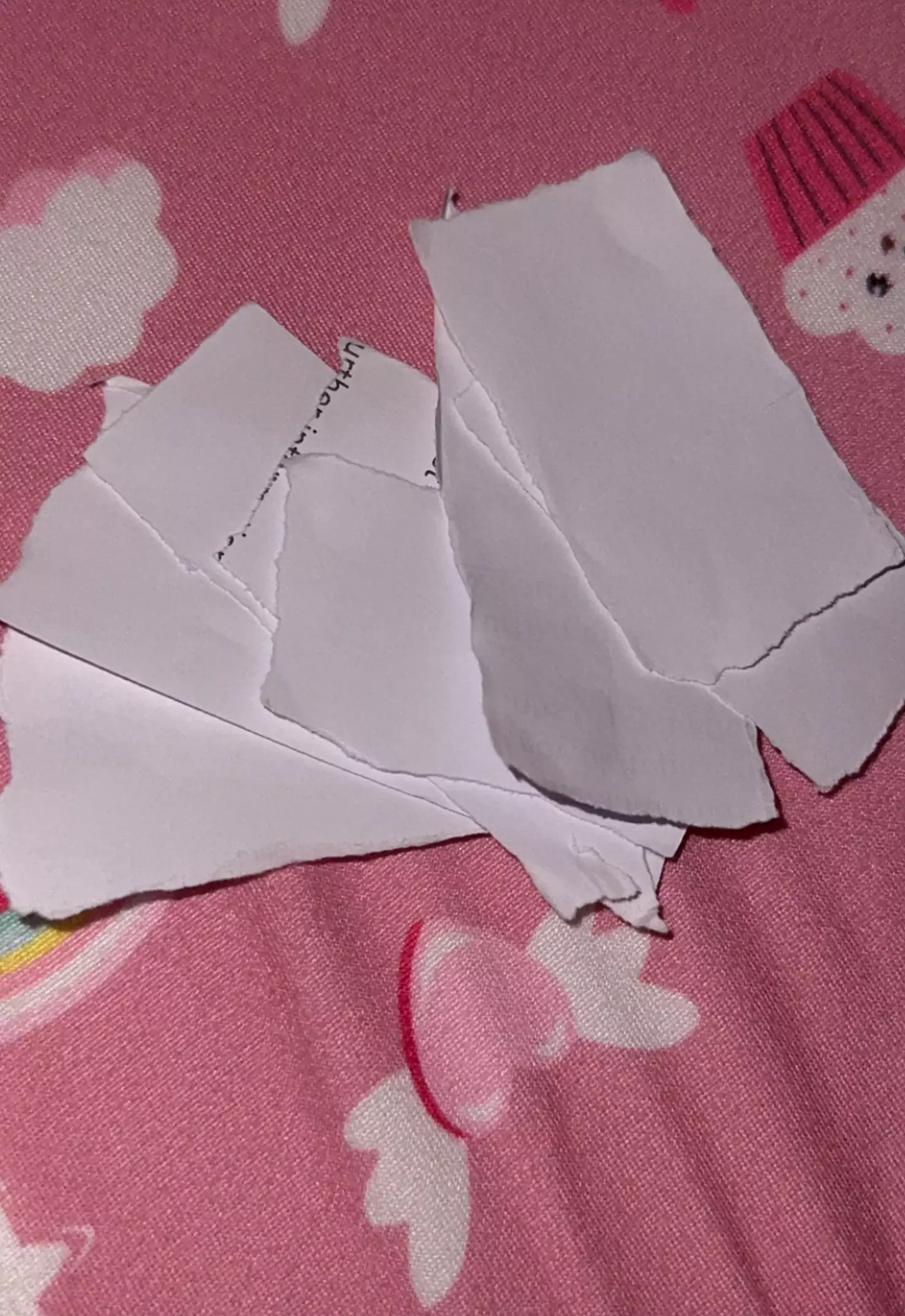 The mum describes herself as a 'human paper shredder' (Kennedy News and Media)