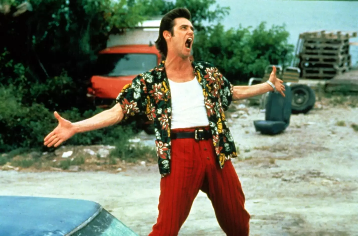 Jim Carrey as Ace Ventura.