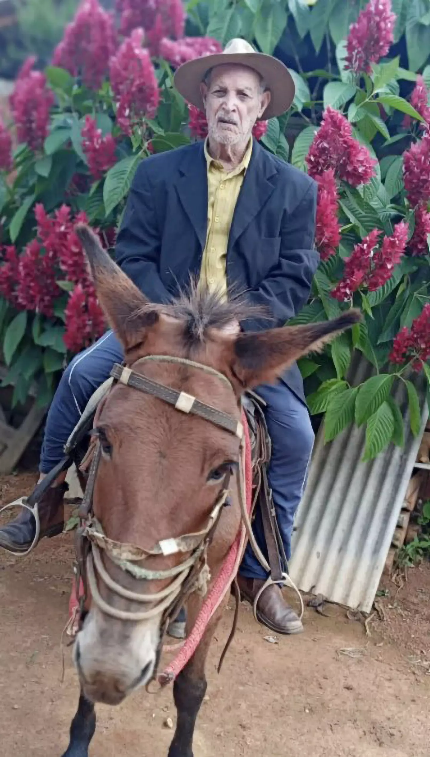 The world's oldest man has died in Brazil, according to local media.