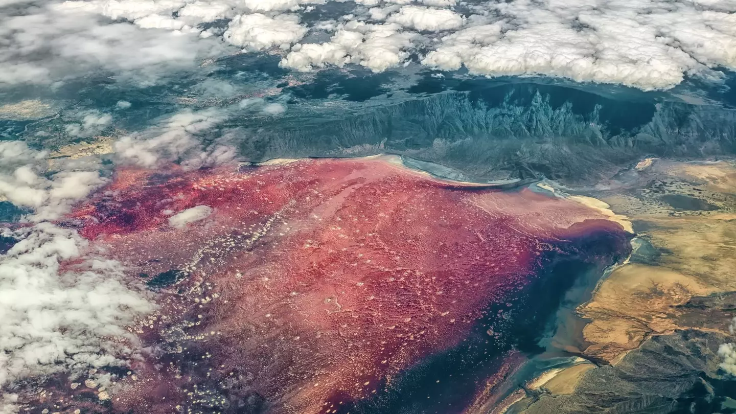 Lake Natron turns animals to 'stone' (Getty Stock Image)