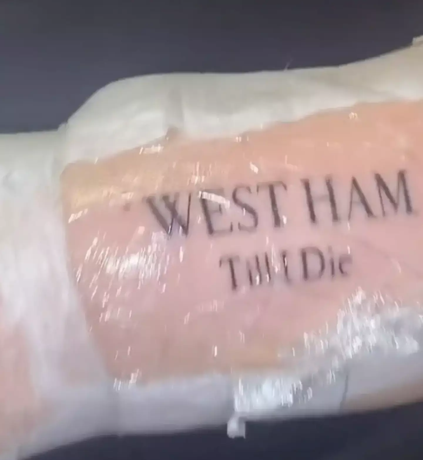 Candy got ‘WEST HAM Till I Die’ permanently etched into her skin.