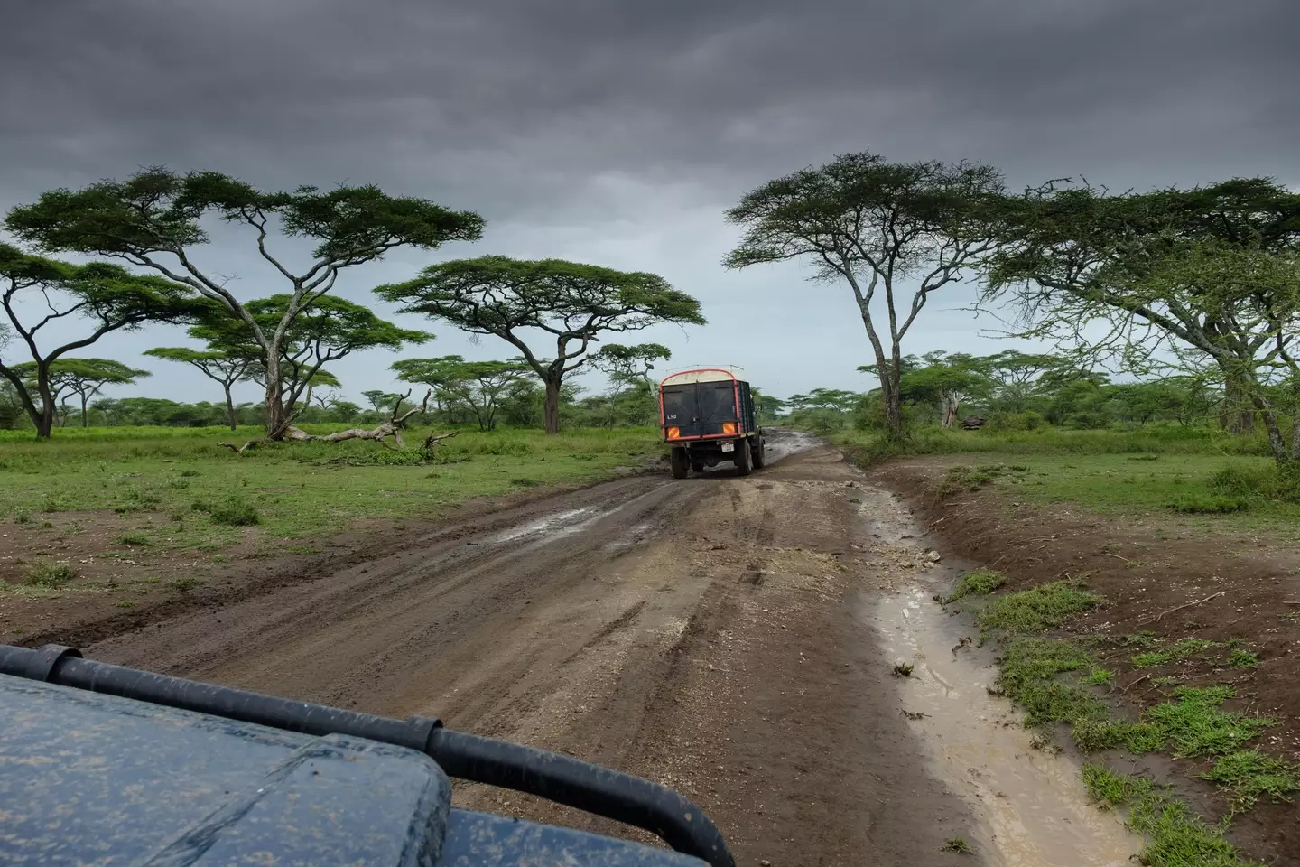 El Niño causes extreme weather and unseasonable weather around the world.