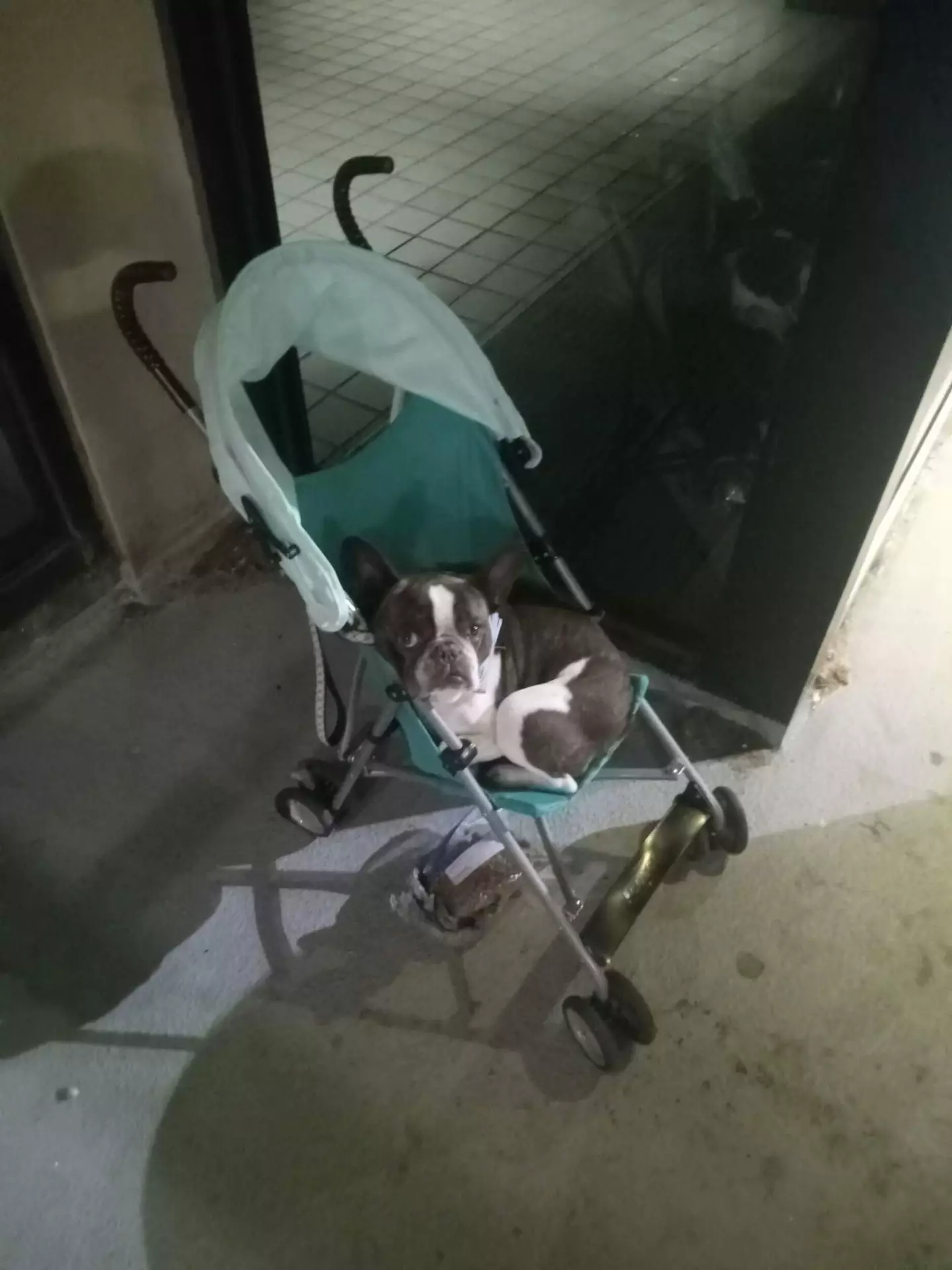 It had been left in a stroller in a car park.