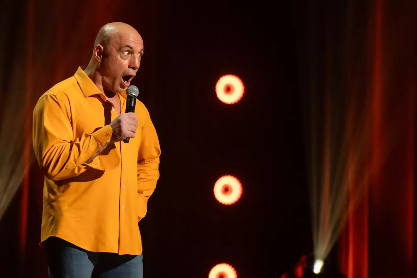 The comment was one of many alien jokes Rogan made in the routine. (Netflix)