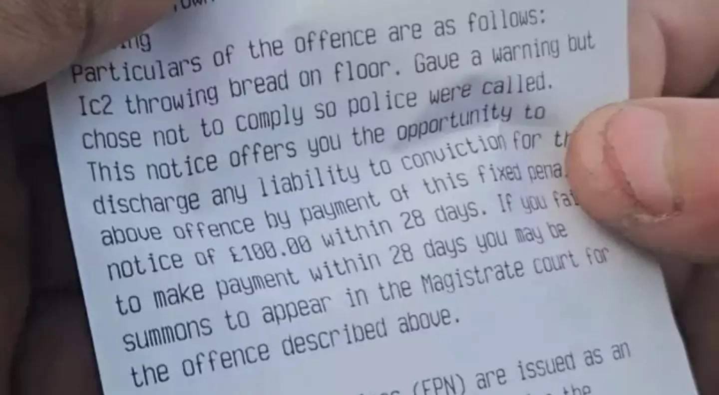 She was given a fixed penalty notice for allegedly 'throwing bread on the floor' (YouTube/The Fool Catcher)