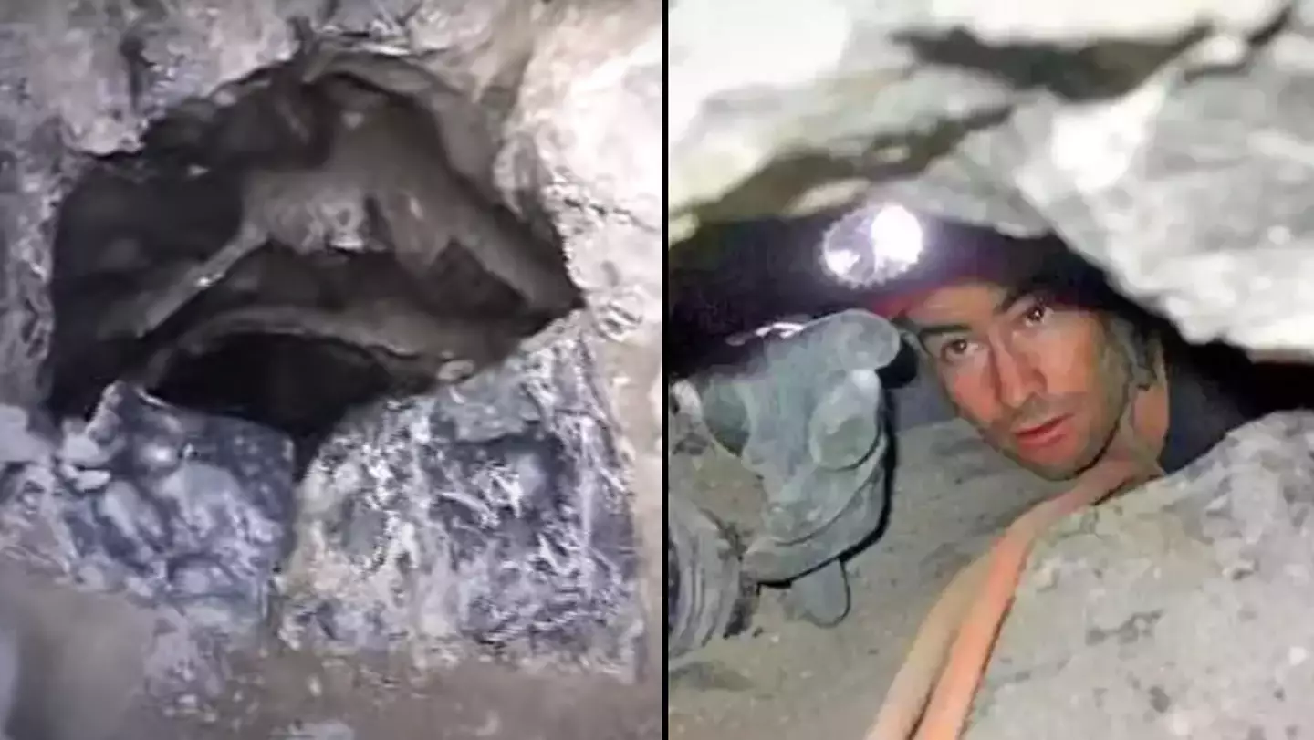 Nutty Putty cave where explorer suffered 'worst death imaginable' before it was shut off to public