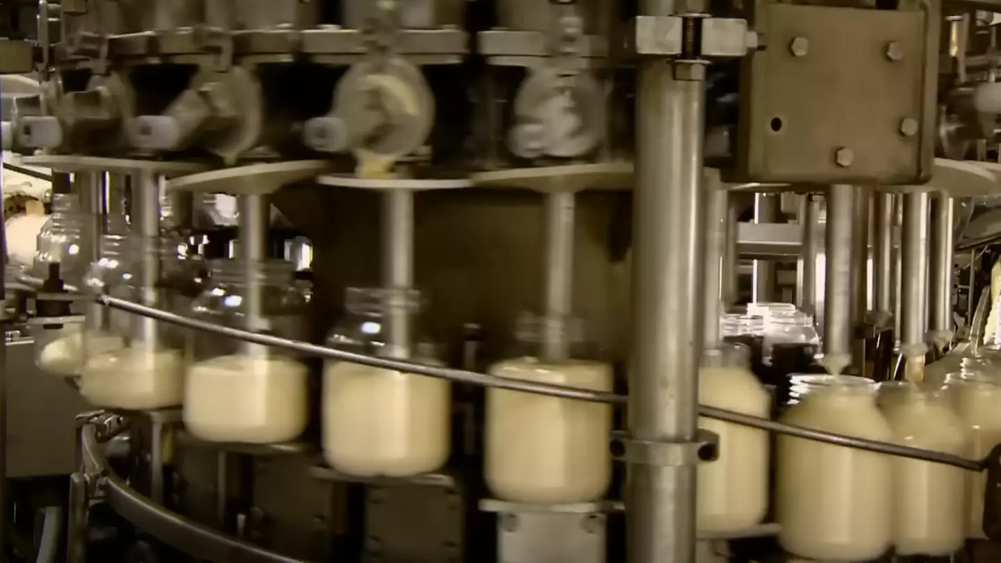 People left ‘feeling sick’ after finding out how mayonnaise is really made