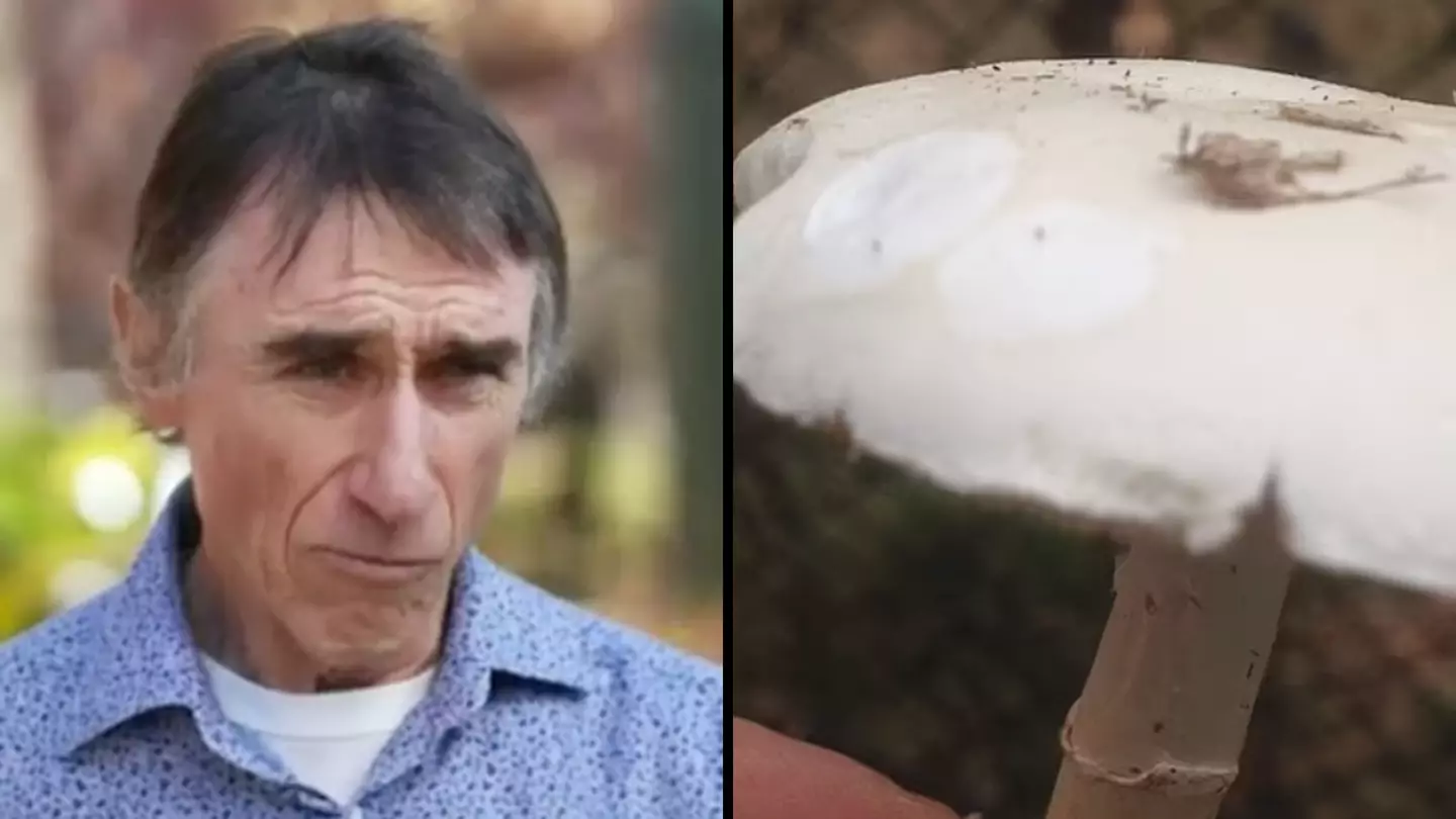 Man speaks out on nearly dying after his wife cooked deadly mushrooms in his dinner