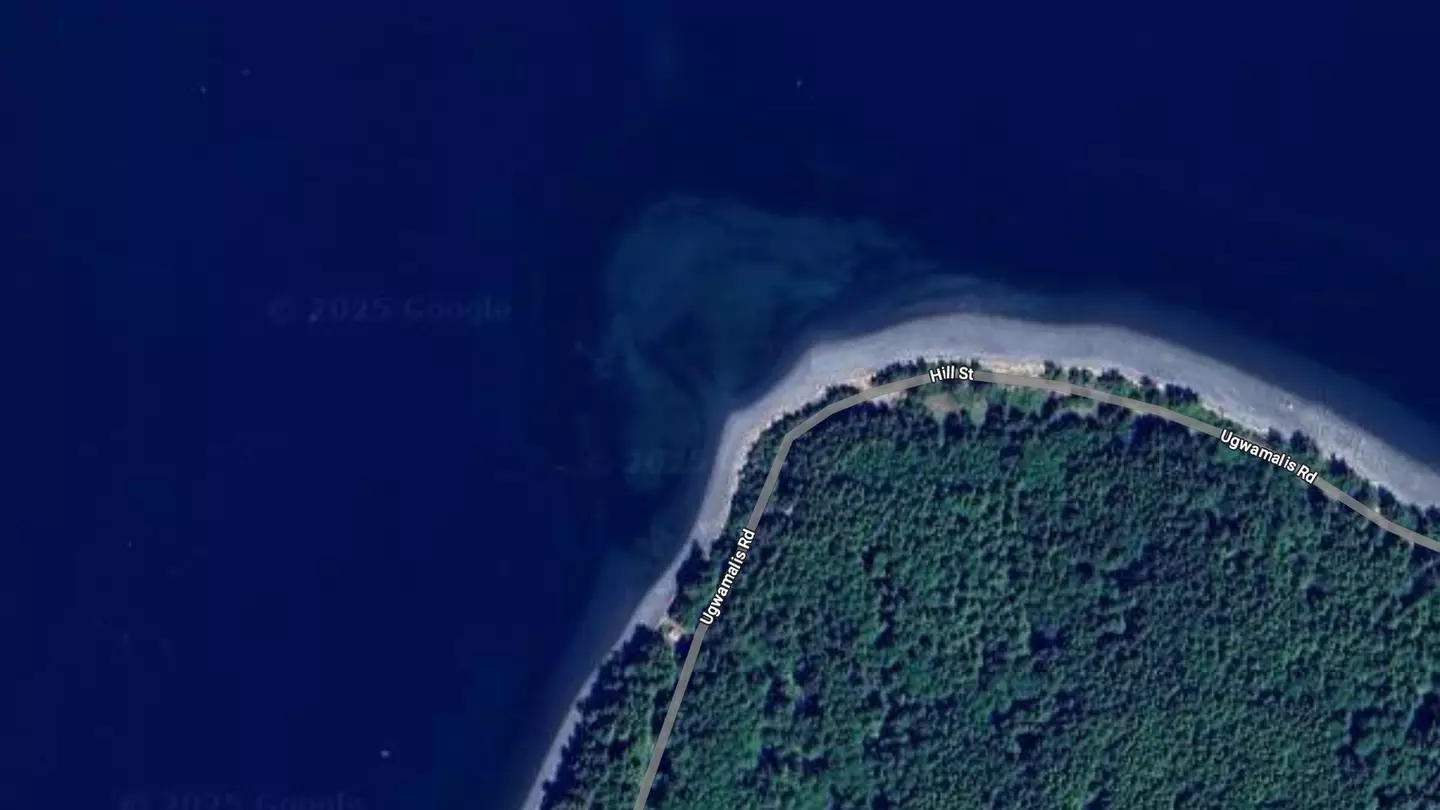 Google Maps users convinced strange sighting created by 'ancient alien visitors' to leave a 'sign' behind