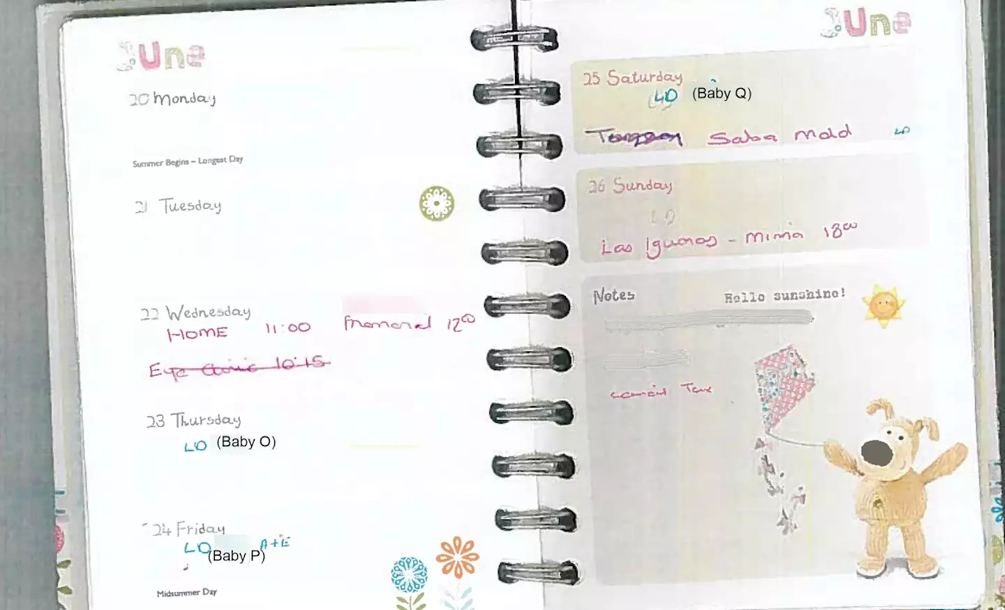 A code in Lucy Letby's diary helped police build a case against her.