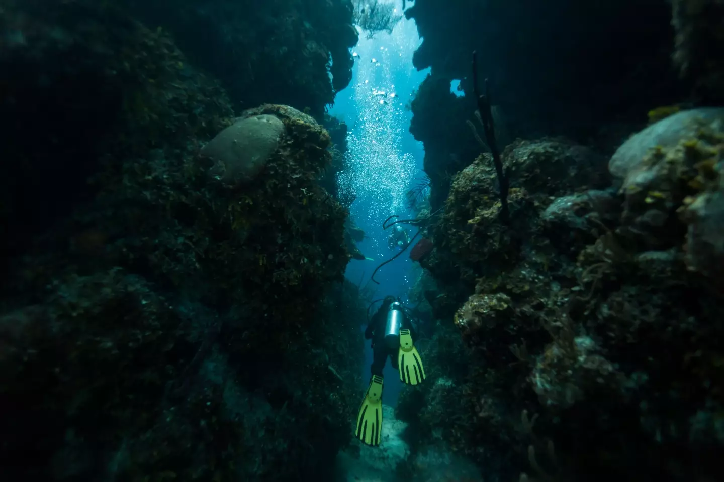 The Great Blue Hole is more than 400 feet deep.