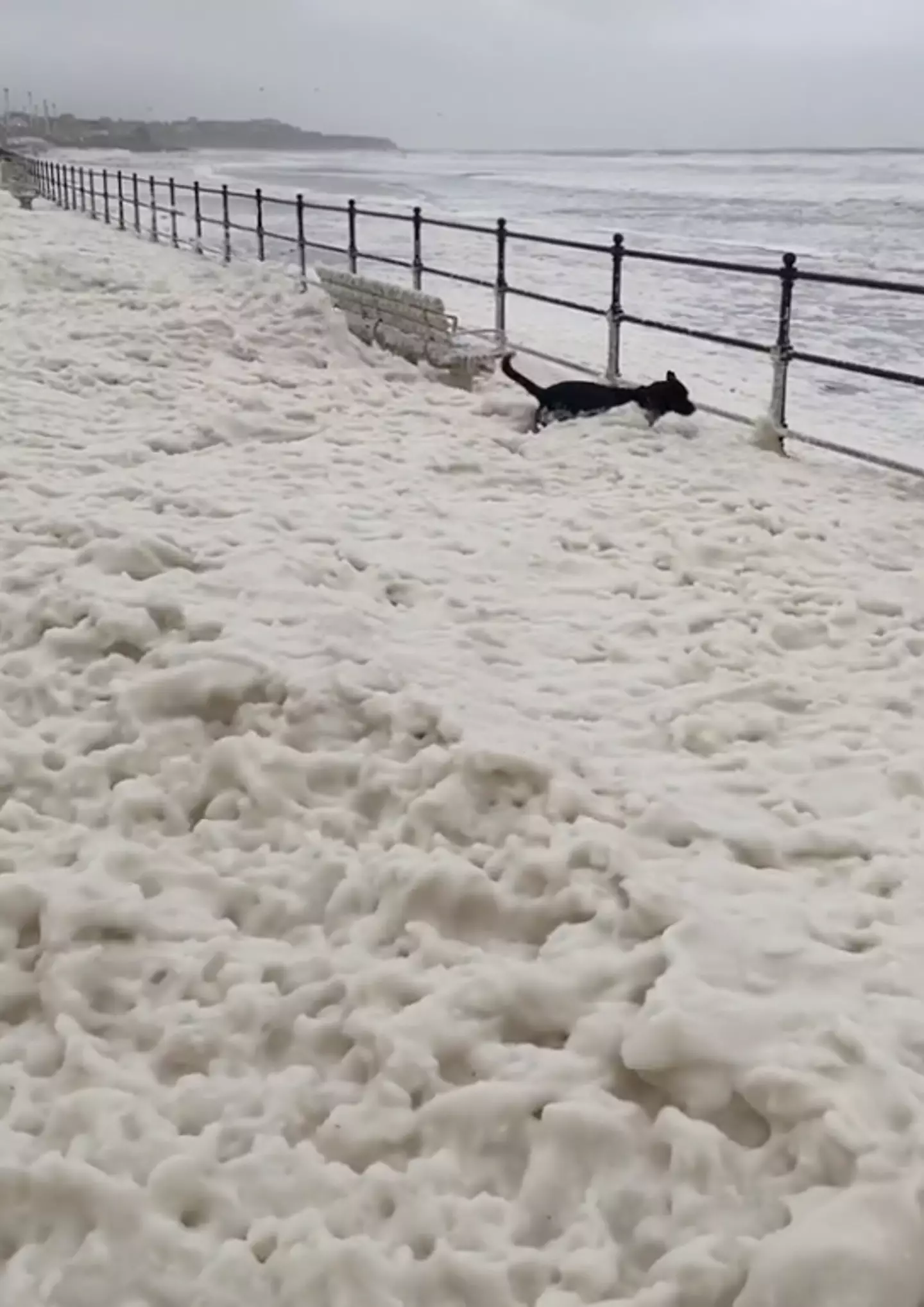 Videos are emerging on social media, appearing to show a 'cloud of foam' - that looks a bit like snow - in common coastal locations across the UK.