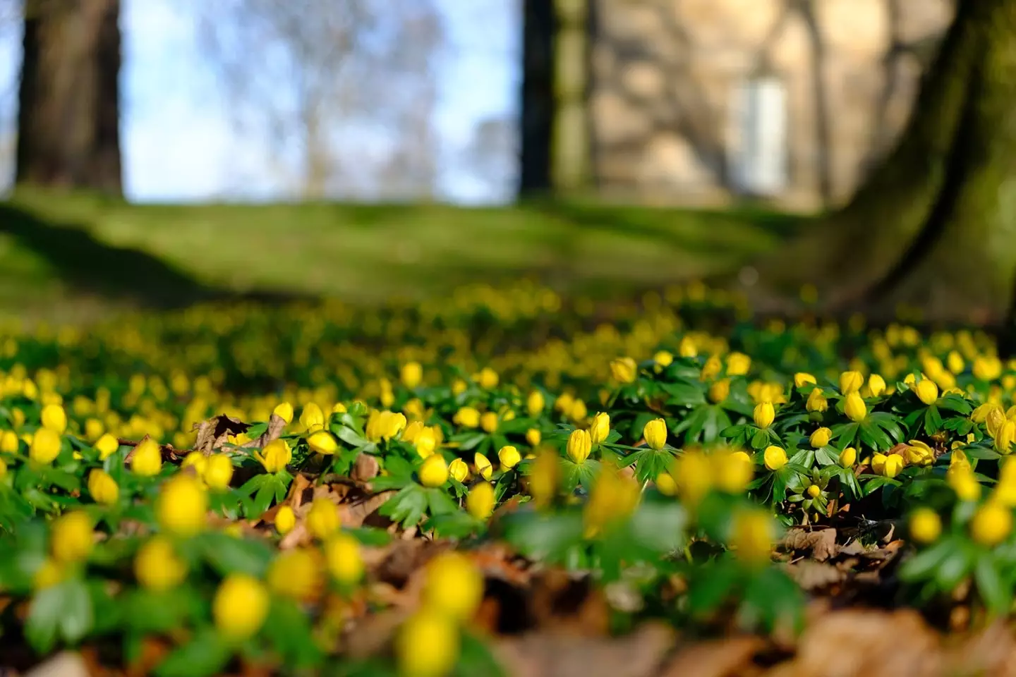 Summer is finally on its way.