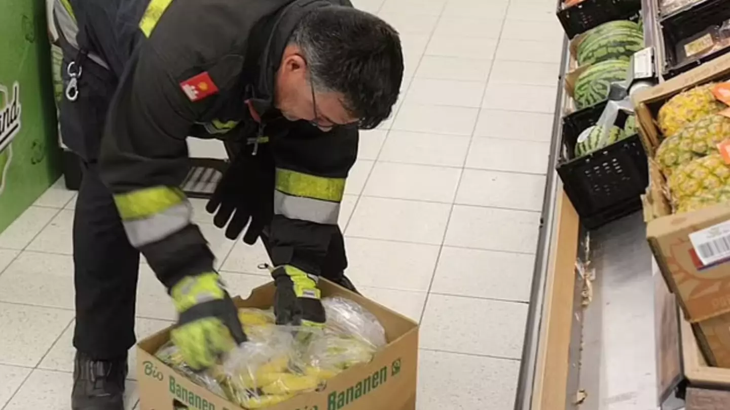 The Brazilian wandering spider was spotted in an Austrian supermarket.