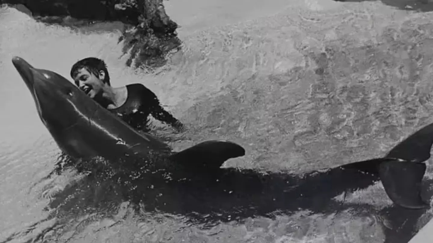 NASA-funded experiment went horrifically wrong after dolphin ended up 'having sexual urges' towards its trainer