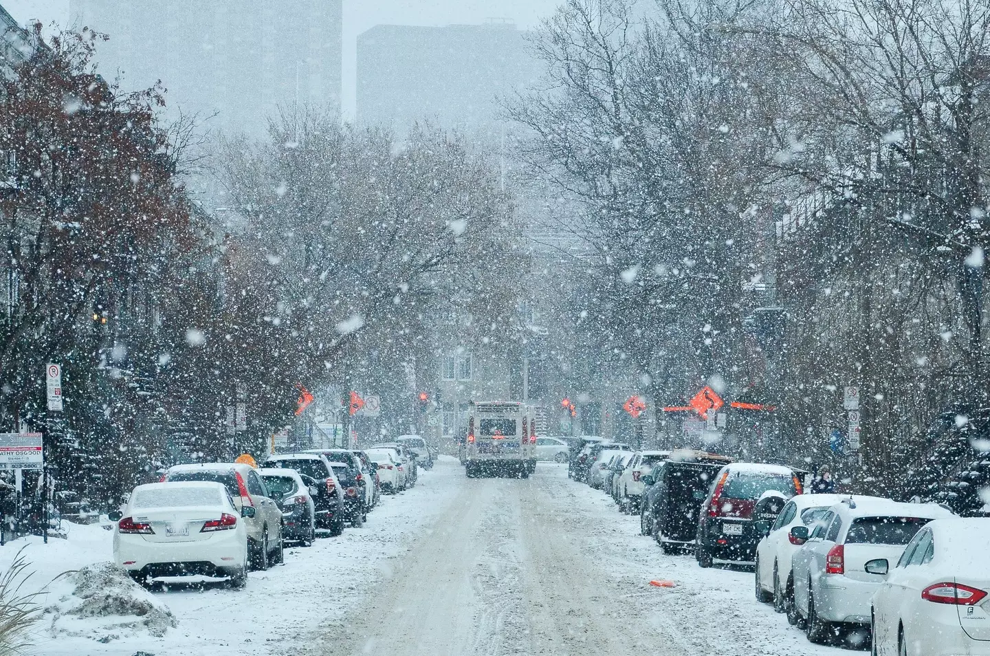 If you live in Scotland, you might be in for a flurry of snow