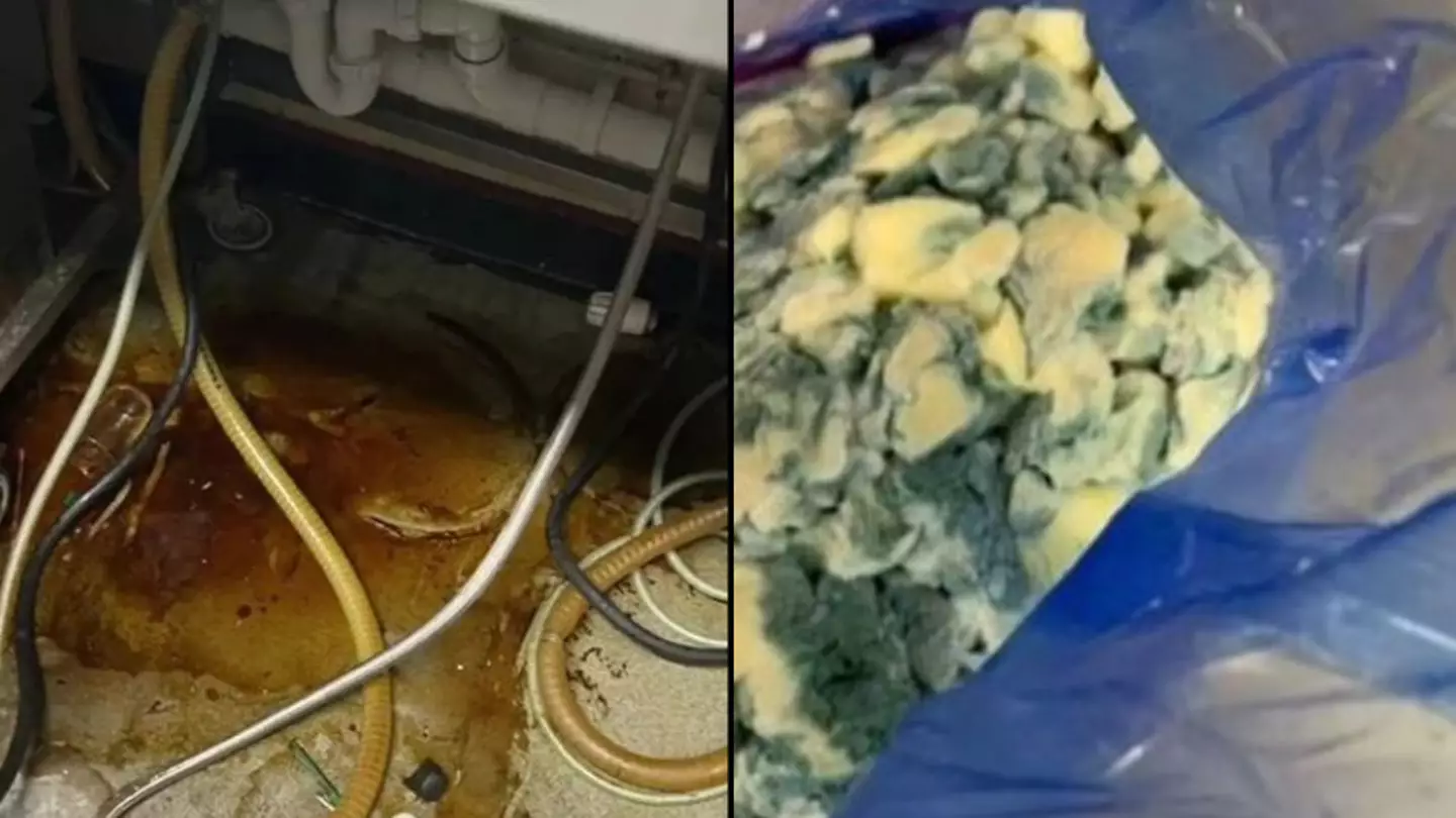 Shocking footage inside Wetherspoon kitchen shows mouldy food and filthy microwaves
