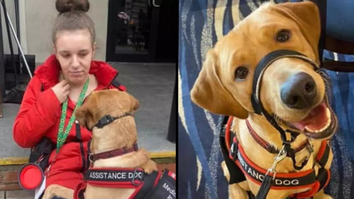 Puppy saves owner’s life after she stopped breathing from a seizure