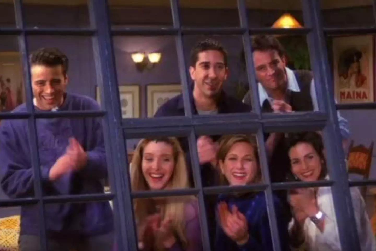 Lisa Kudrow starred as Phoebe in the hit series.