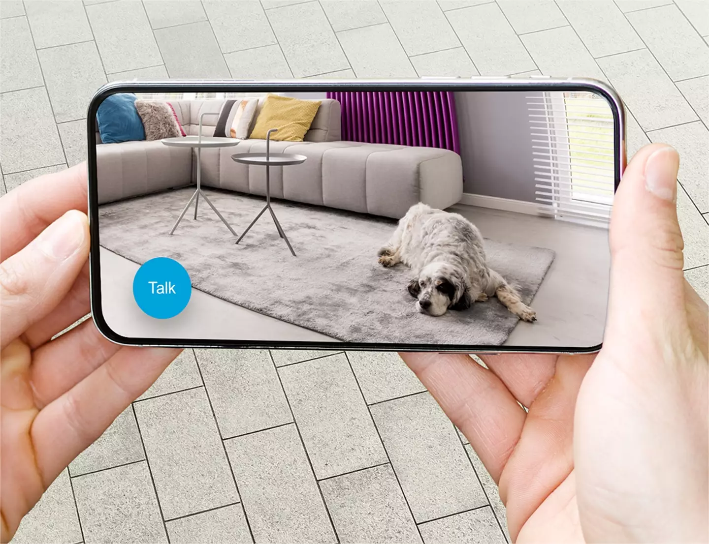 Watch your pets in the Blink Home app.