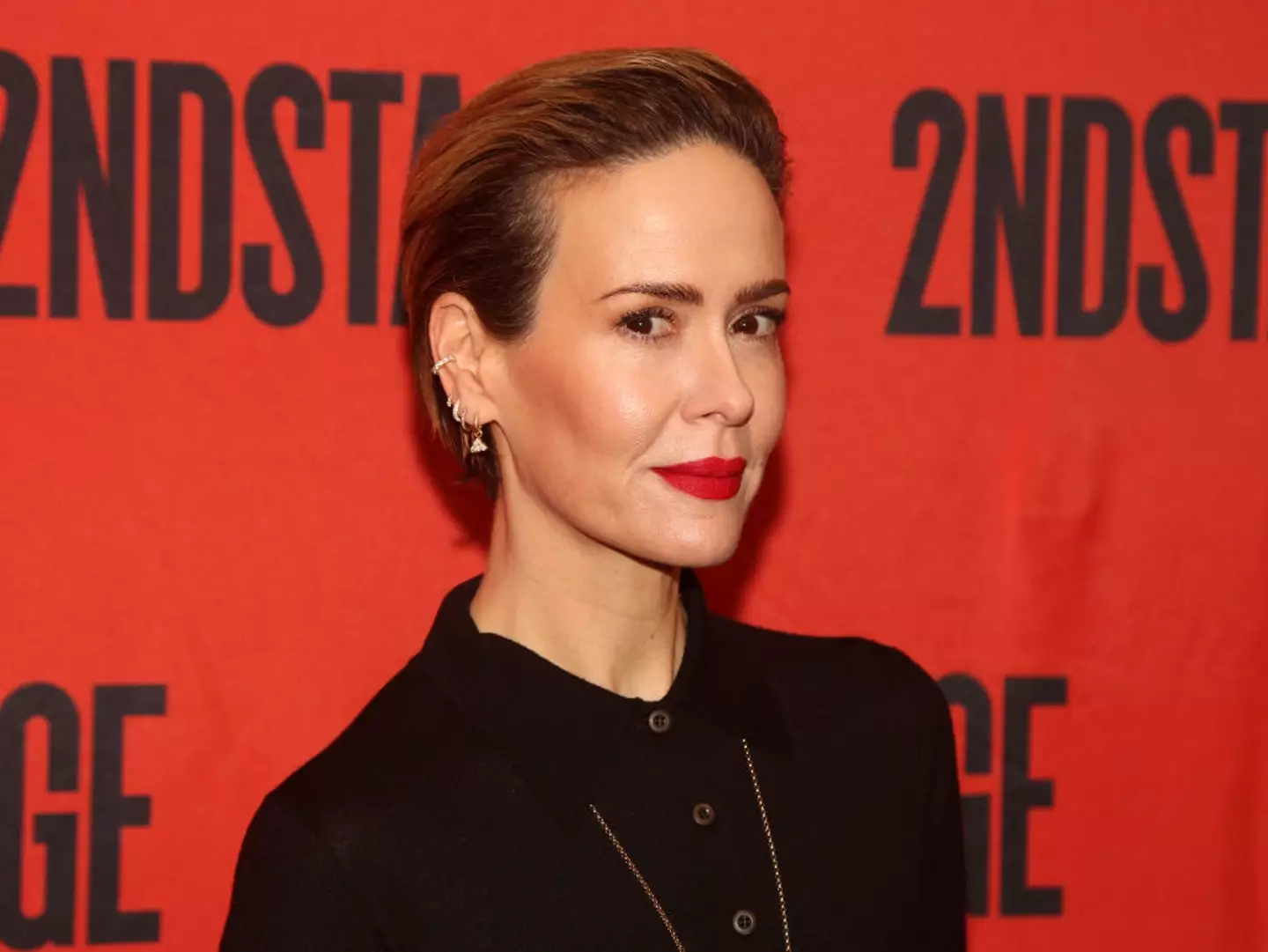 A Sarah Paulson show on Netflix has been cancelled after just one season.