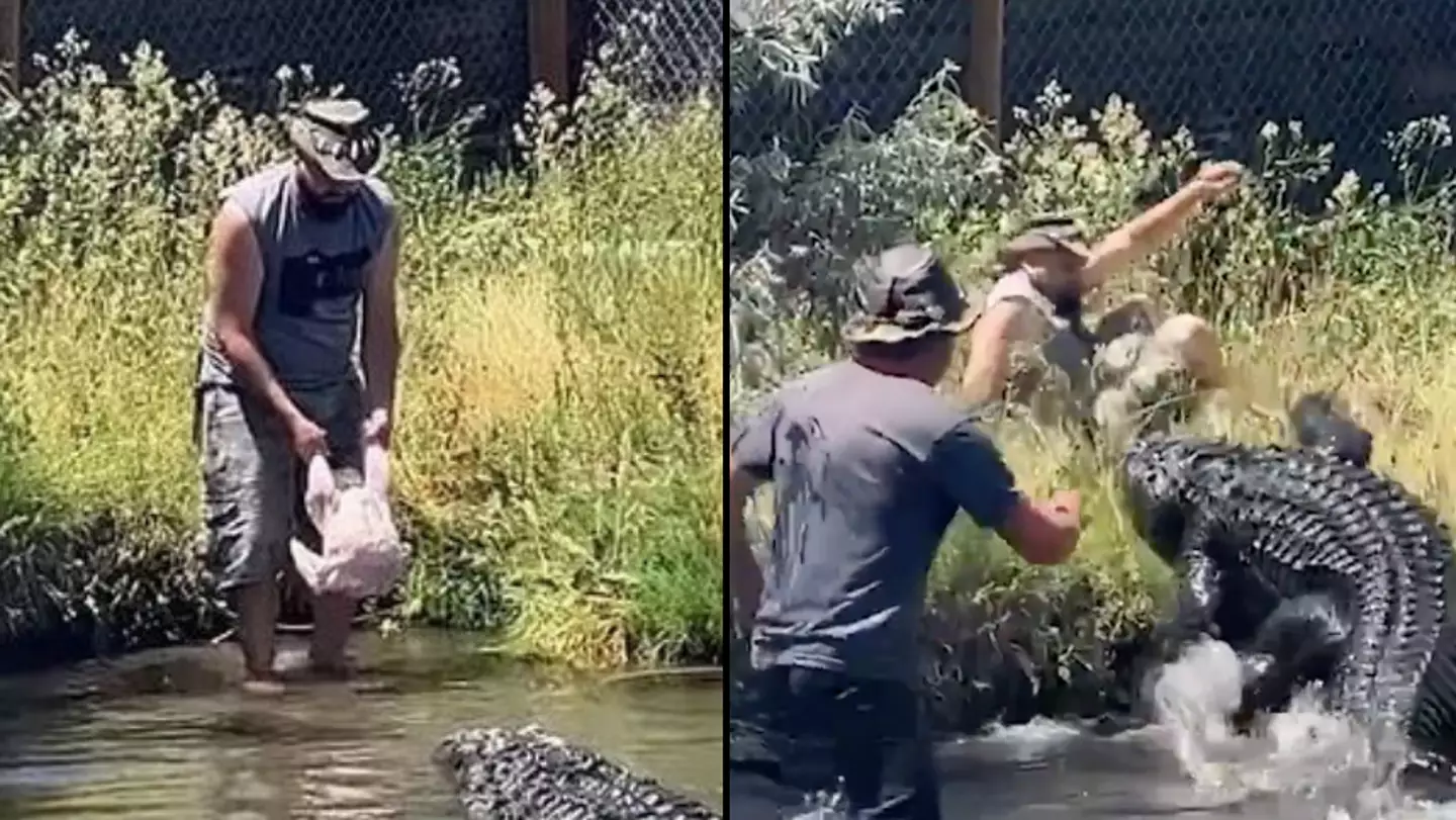 Alligator expert escapes being mauled after almost slipping into lake while feeding gator