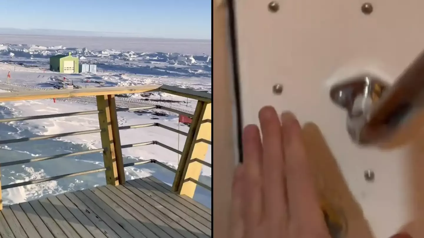 Tiktok / mattykjordan