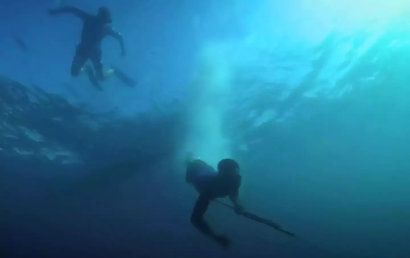 Bigger spleens means better diving. (BBC Global/YouTube)