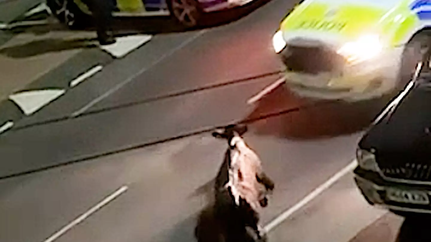 The footage from earlier this year caused quite a response and the police officer behind the wheel had been removed from frontline duties (SWNS)