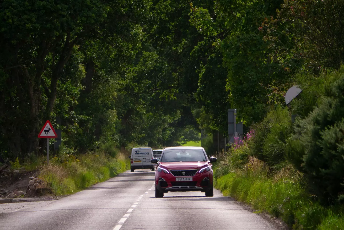 An FOI request revealed the number of UK drivers whose license expired recently.
