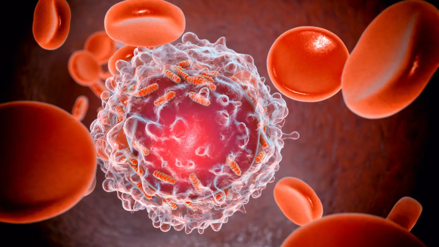 Kateryna Kon/Science Photo Library via Getty Images