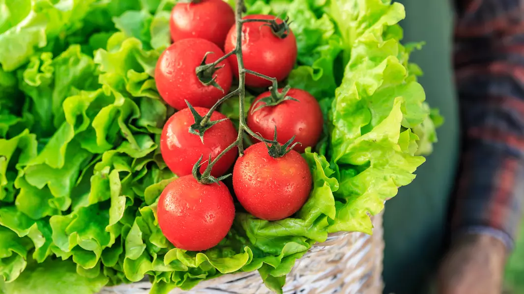 Getty/valentinarussov