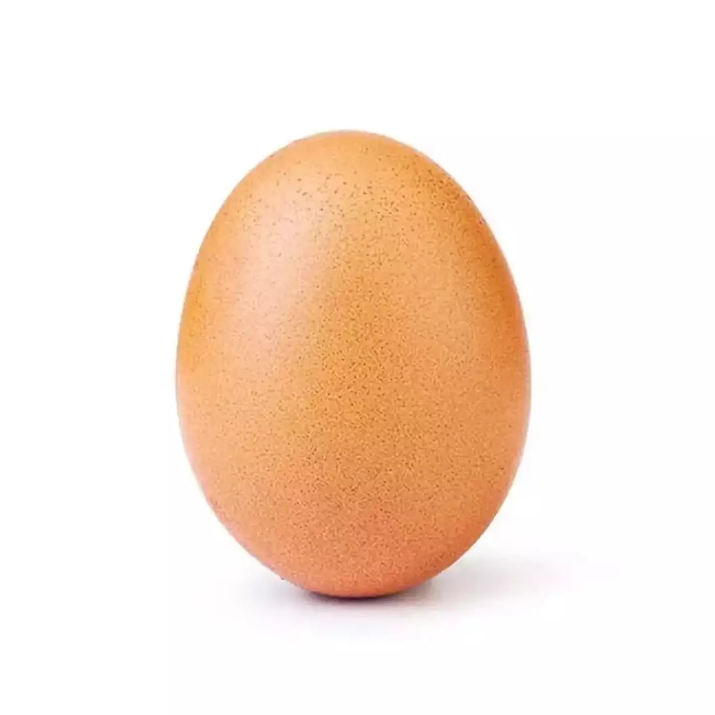The 'egg' creator said the social media success was a 'fluke.