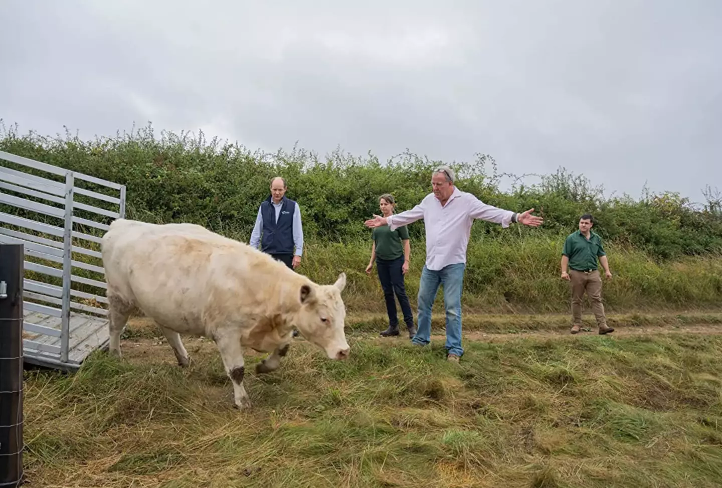 Series two of Clarkson's Farm featured Clarkson's new herd of cows.