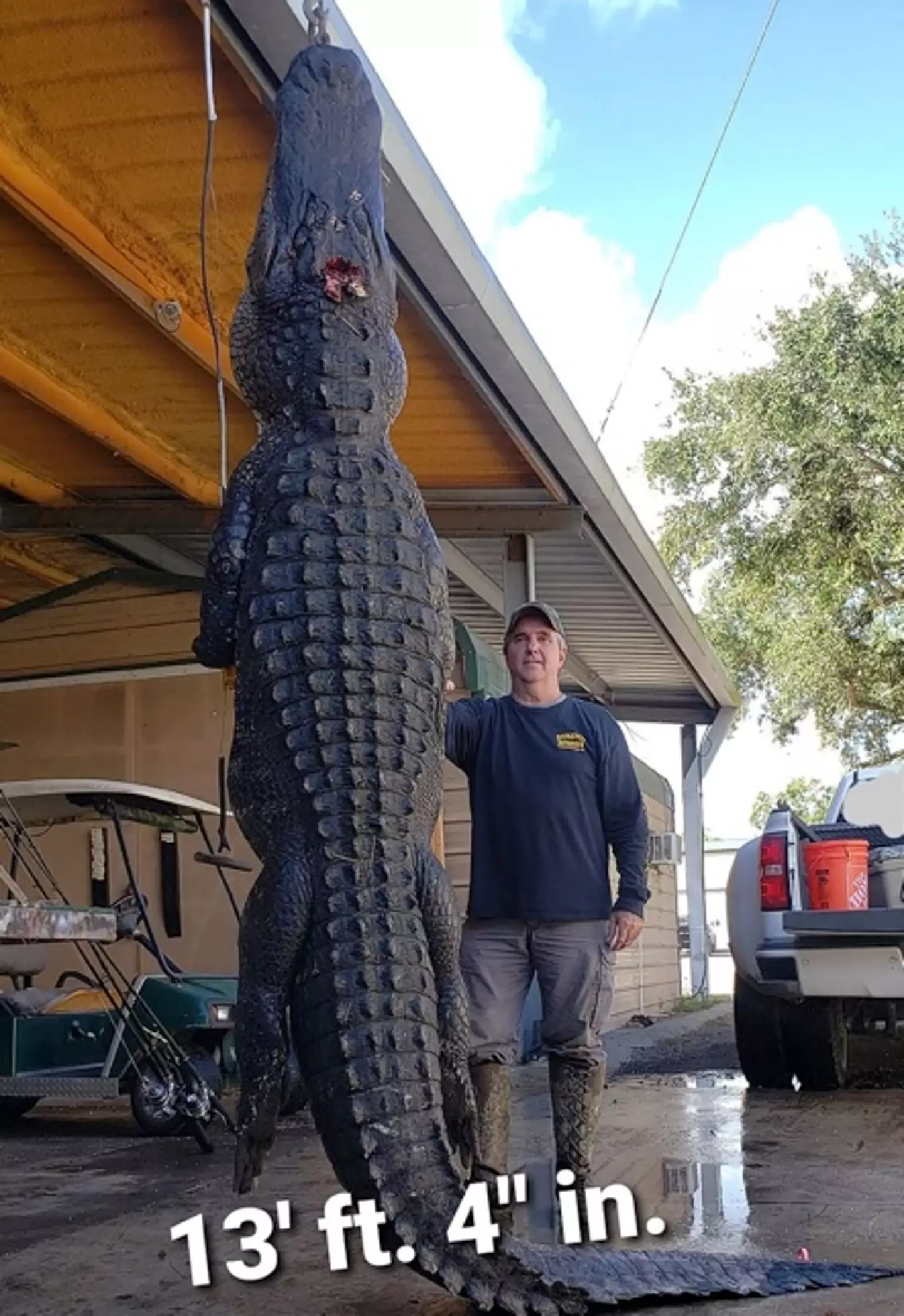 Doug Borries shot the 80-year-old alligator in the head.
