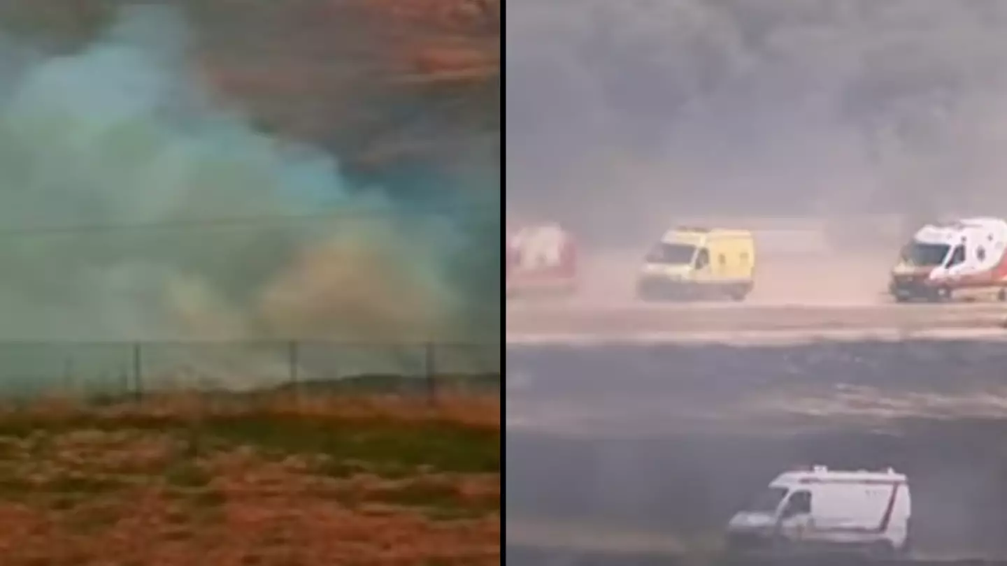 Passenger plane crashed seconds after take-off due to flight crew 'experiencing psychological condition'