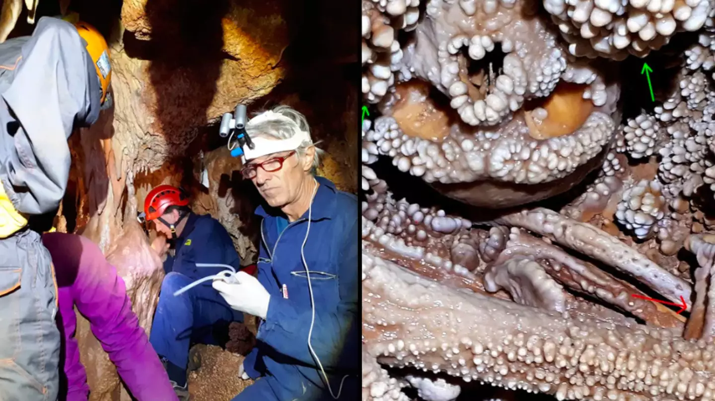 'Altamura man' became embedded in a cave after suffering horrendous death 150,000 years ago
