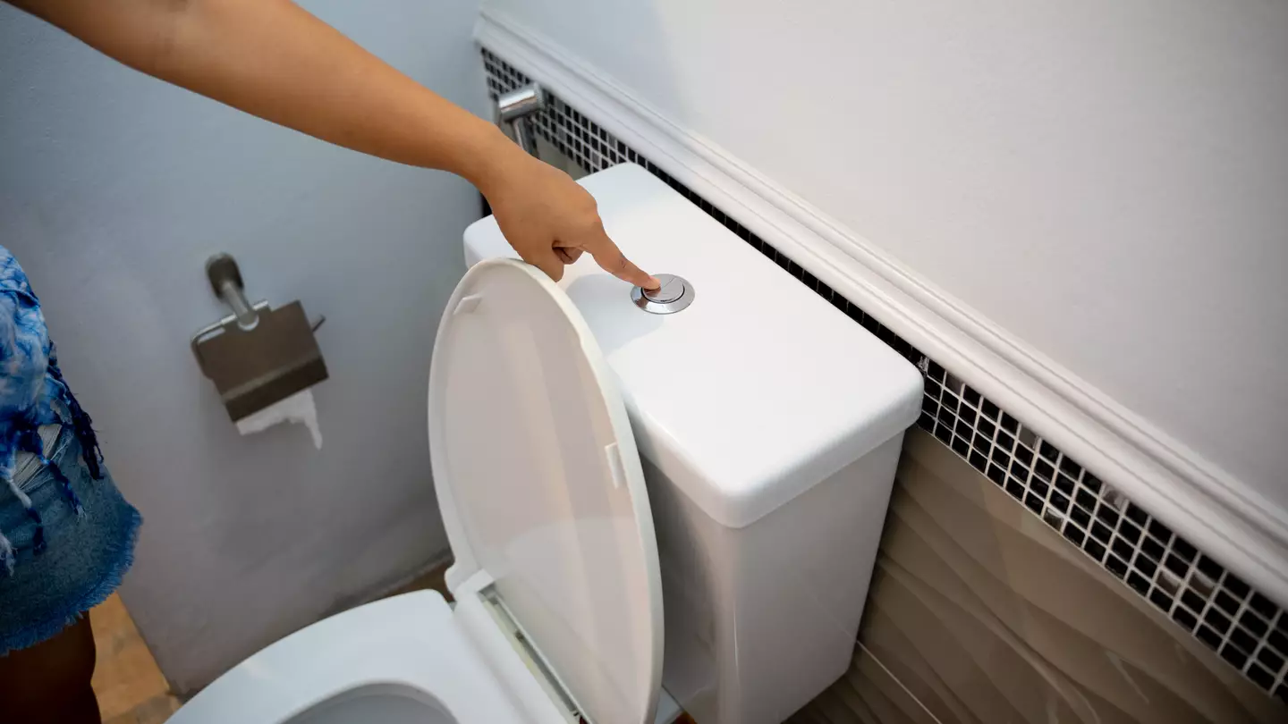 Worrying truth behind flushing animal poo down the toilet as vet warned pet owners against it