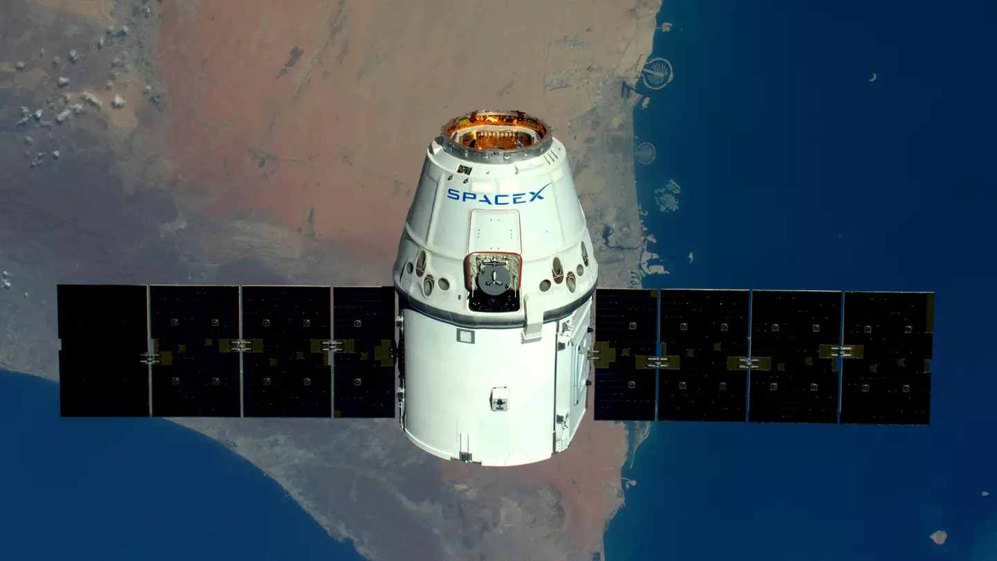 Elon Musk’s SpaceX named in 'catastrophic' space warning that could take out planes on Earth