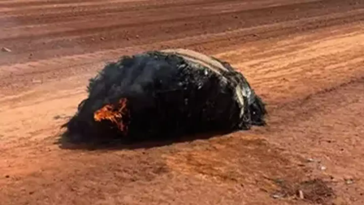 Fears Kessler syndrome theory becoming reality as flaming space junk lands on Earth