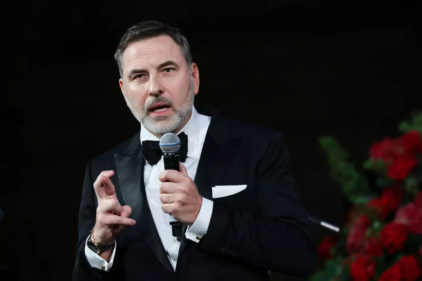 David Walliams reportedly did two Nazi salutes during the recording (Dave Benett/Getty Images for DKMS)